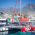 MaxiCat Ecological Catamaran – Whale & Dolphin watching excursion in Tenerife