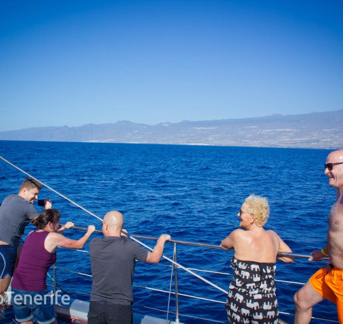 MaxiCat Ecological Catamaran – Whale & Dolphin watching excursion in Tenerife