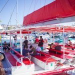 MaxiCat Ecological Catamaran – Whale & Dolphin watching excursion in Tenerife