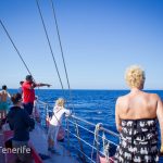 MaxiCat Ecological Catamaran – Whale & Dolphin watching excursion in Tenerife