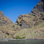 MaxiCat Ecological Catamaran – Whale & Dolphin watching excursion in Tenerife