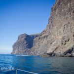 MaxiCat Ecological Catamaran – Whale & Dolphin watching excursion in Tenerife