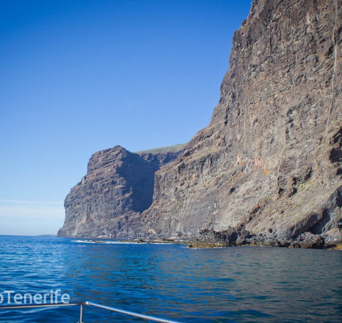 MaxiCat Ecological Catamaran – Whale & Dolphin watching excursion in Tenerife