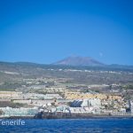 MaxiCat Ecological Catamaran – Whale & Dolphin watching excursion in Tenerife