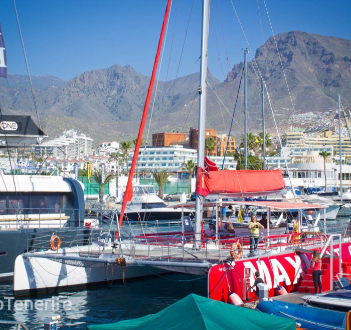 MaxiCat Ecological Catamaran – Whale & Dolphin watching excursion in Tenerife