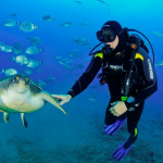 OKEANOS - Diving in Tenerife