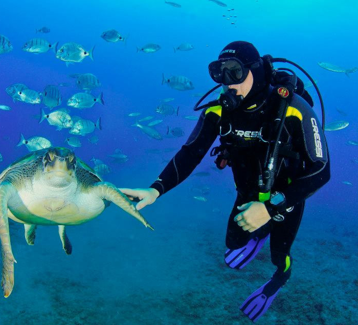 OKEANOS - Diving in Tenerife