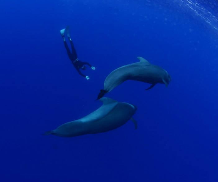 OKEANOS - Diving in Tenerife