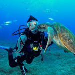 OKEANOS - Diving in Tenerife