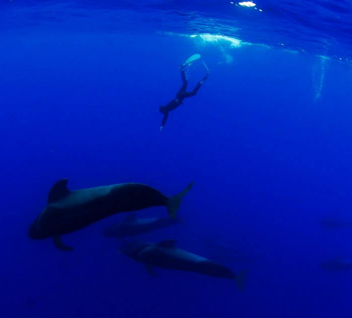 OKEANOS - Diving in Tenerife