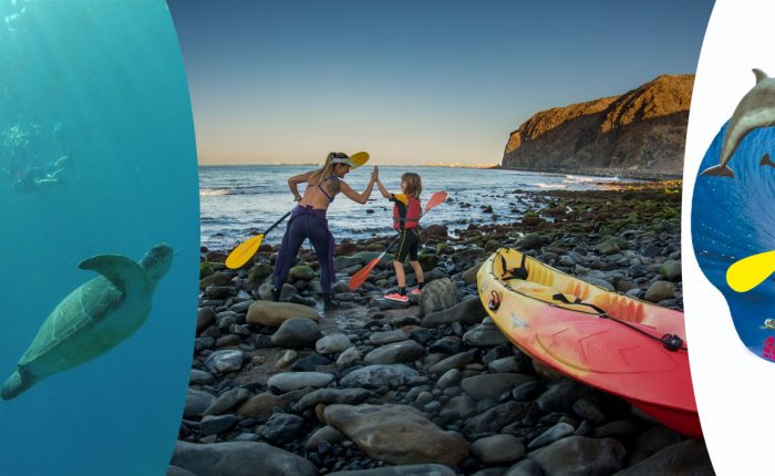 Kayaking and Snorkeling GranAzul Tenerife