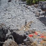 Agua Dulce Beach GoTenerife