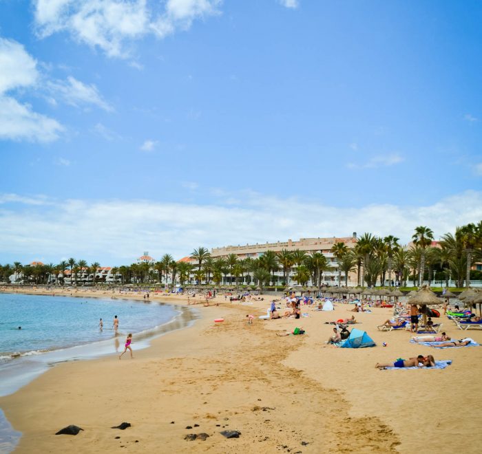 El Camisón Beach GoTenerife