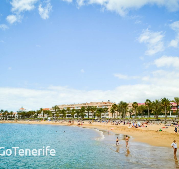 El Camisón Beach GoTenerife