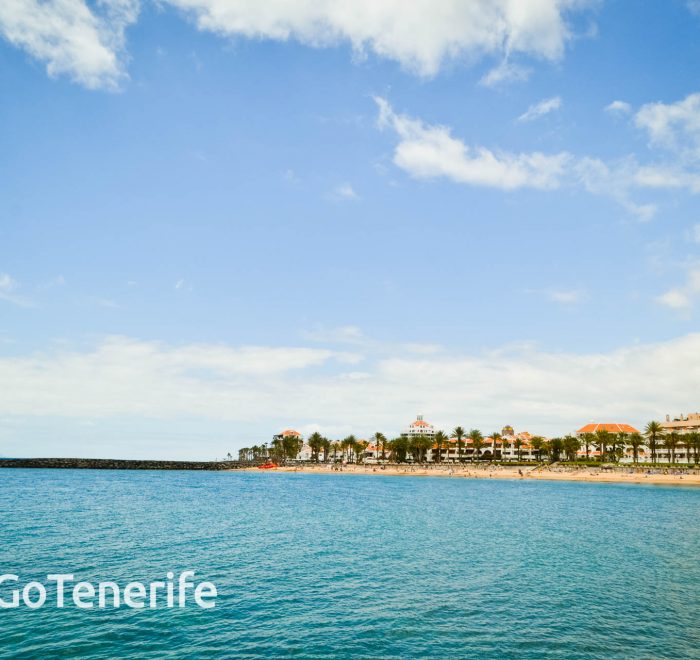 El Camisón Beach GoTenerife