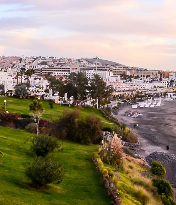 Fañabé Beach GoTenerife