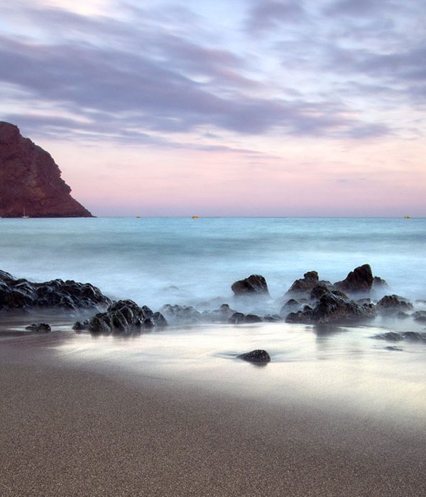 La Tejita Beach GoTenerife